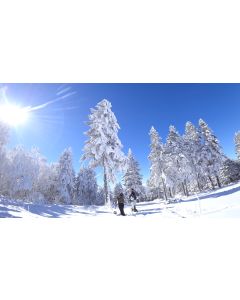 前売大人リフト１日券